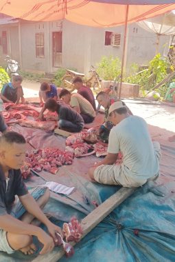 Jumlah Hewan Qurban di Kecamatan Lingga Bayu Tahun 2026 Meningkat Signifikan, Capai 204 Ekor Sapi dan 17 Kambing