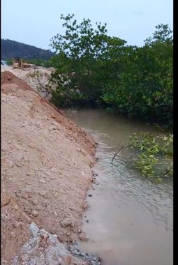 PT Genosky Tira Propertindo ditetapkan tersangka korporasi perambahan 1,98 Ha hutan lindung Tanjung Piayu Batam. Penyidik kejar siapa pengambil keputusan dan penerima manfaat
