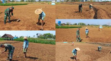 Cepat Tanggap, Babinsa Koramil Sutojayan Bersama Tim Gabungan Berhasil Padamkan Karhutla 2 Hektar Di Blitar